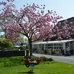 Ferienhaus In Stavenisse Mit Gemeinsamem Pool, Terrasse Und Grill